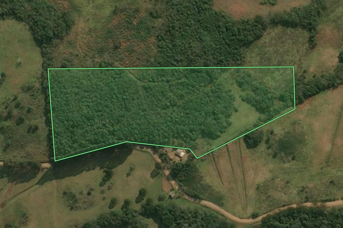 Imagem de satélite do imóvel rural em Celso Ramos (SC), com o contorno declarado no CAR desenhado por cima.