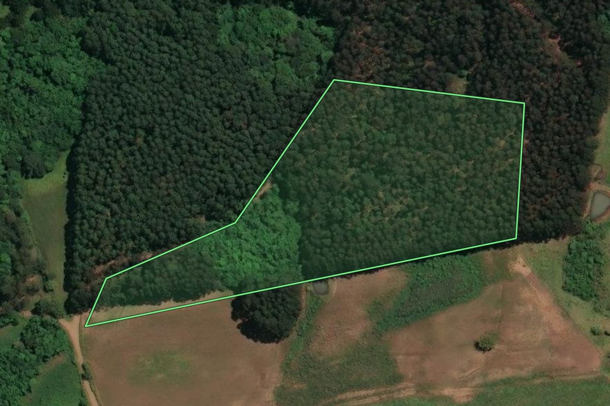 Imagem de satélite do imóvel rural em Celso Ramos (SC), com o contorno declarado no CAR desenhado por cima.