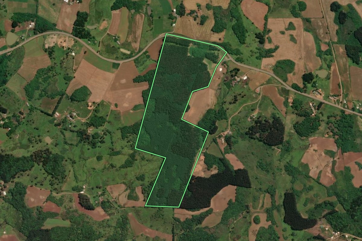 Imagem de satélite do imóvel rural em Celso Ramos (SC), com o contorno declarado no CAR desenhado por cima.