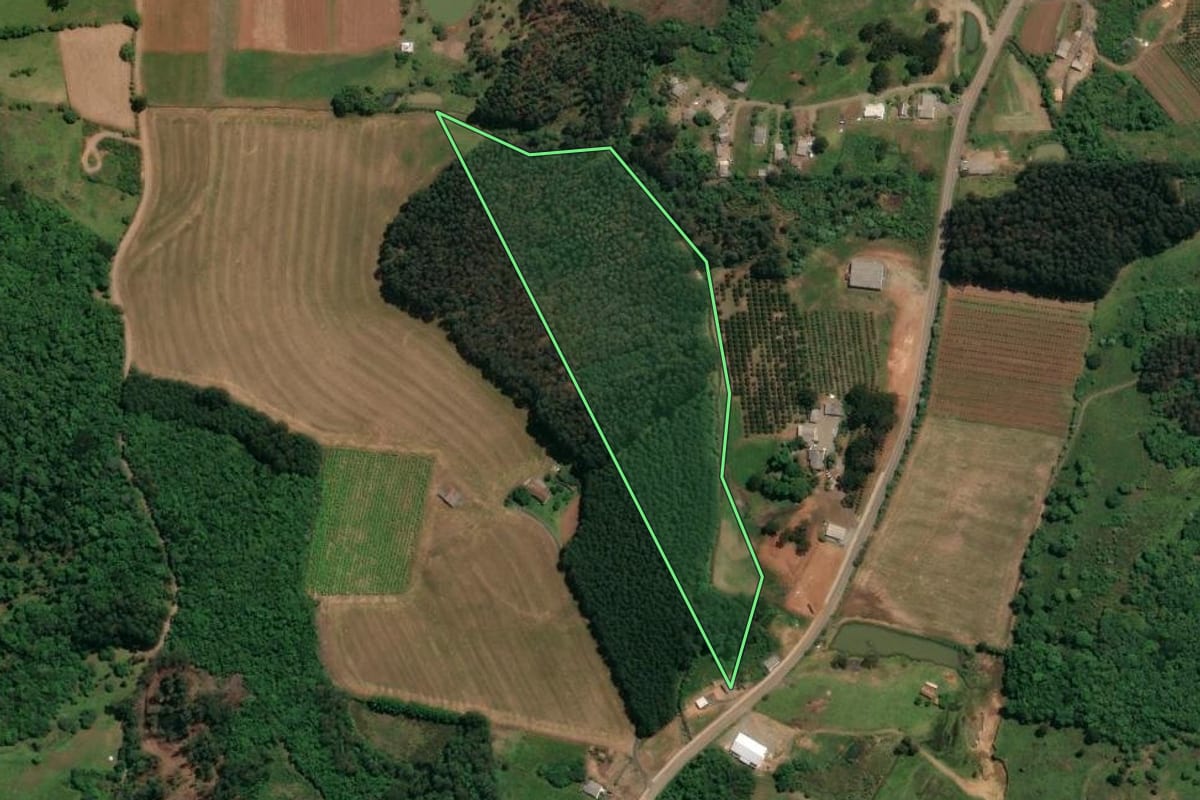 Imagem de satélite do imóvel rural em Celso Ramos (SC), com o contorno declarado no CAR desenhado por cima.
