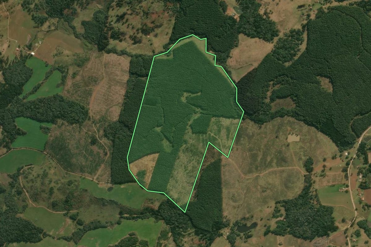 Imagem de satélite do imóvel rural em Celso Ramos (SC), com o contorno declarado no CAR desenhado por cima.