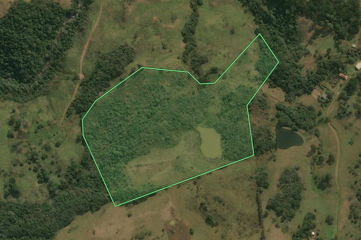 Imagem de satélite do imóvel rural em Celso Ramos (SC), com o contorno declarado no CAR desenhado por cima.