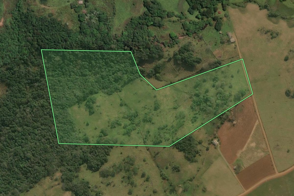 Imagem de satélite do imóvel rural em Celso Ramos (SC), com o contorno declarado no CAR desenhado por cima.