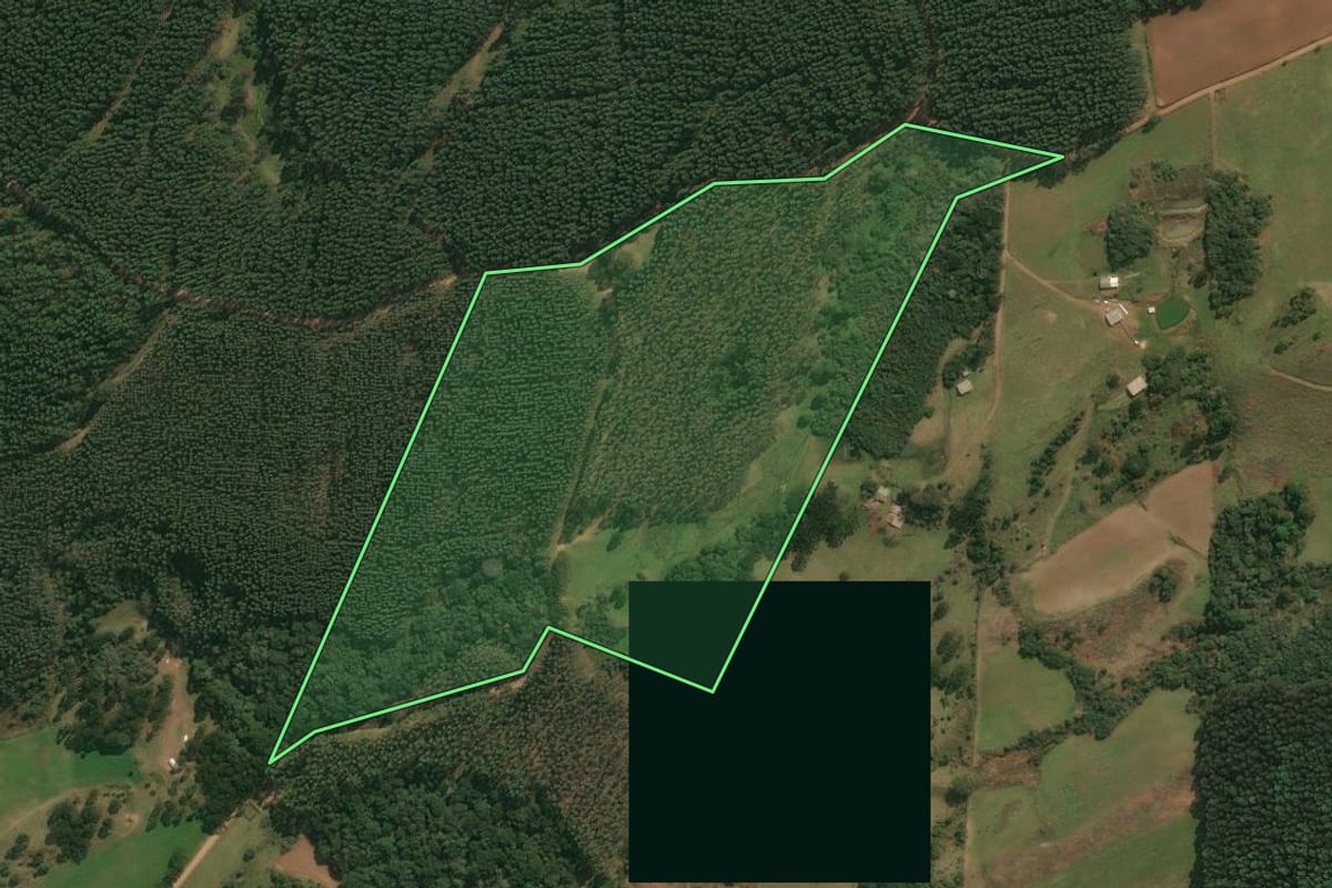 Imagem de satélite do imóvel rural em Celso Ramos (SC), com o contorno declarado no CAR desenhado por cima.