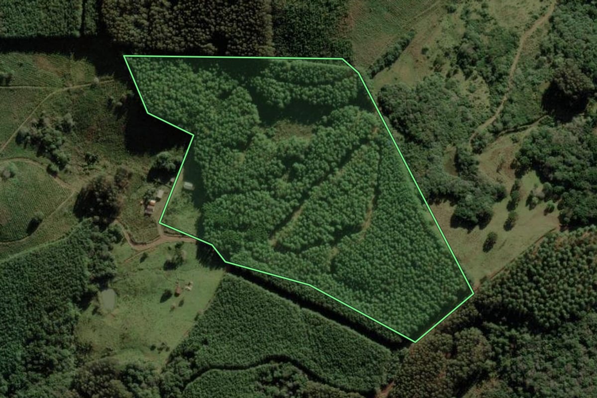 Imagem de satélite do imóvel rural em Cerro Negro (SC), com o contorno declarado no CAR desenhado por cima.