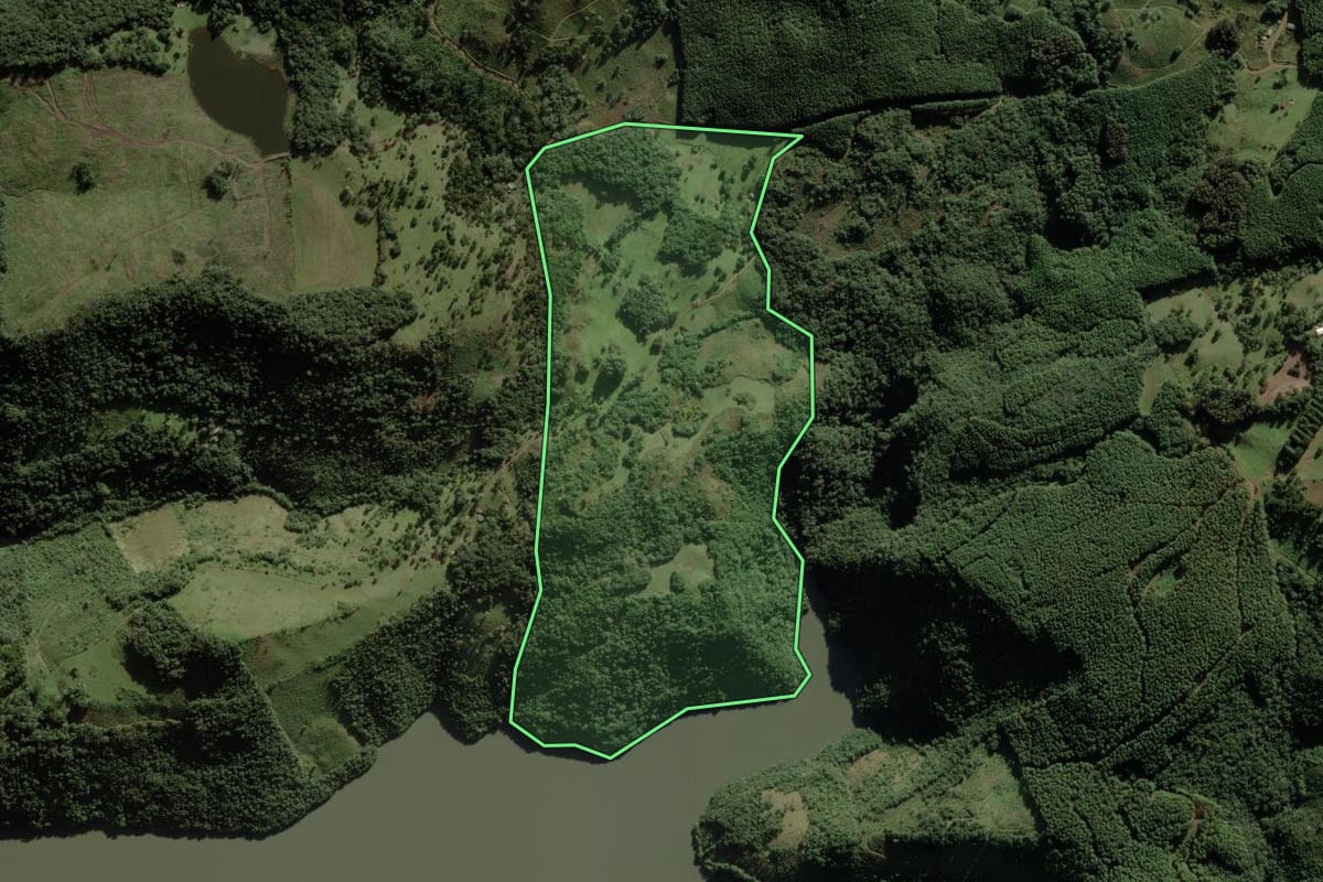 Imagem de satélite do imóvel rural em Cerro Negro (SC), com o contorno declarado no CAR desenhado por cima.
