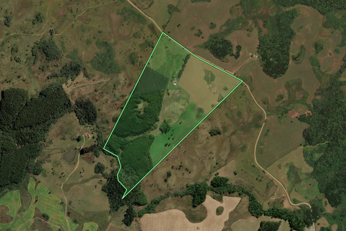 Imagem de satélite do imóvel rural em Cerro Negro (SC), com o contorno declarado no CAR desenhado por cima.