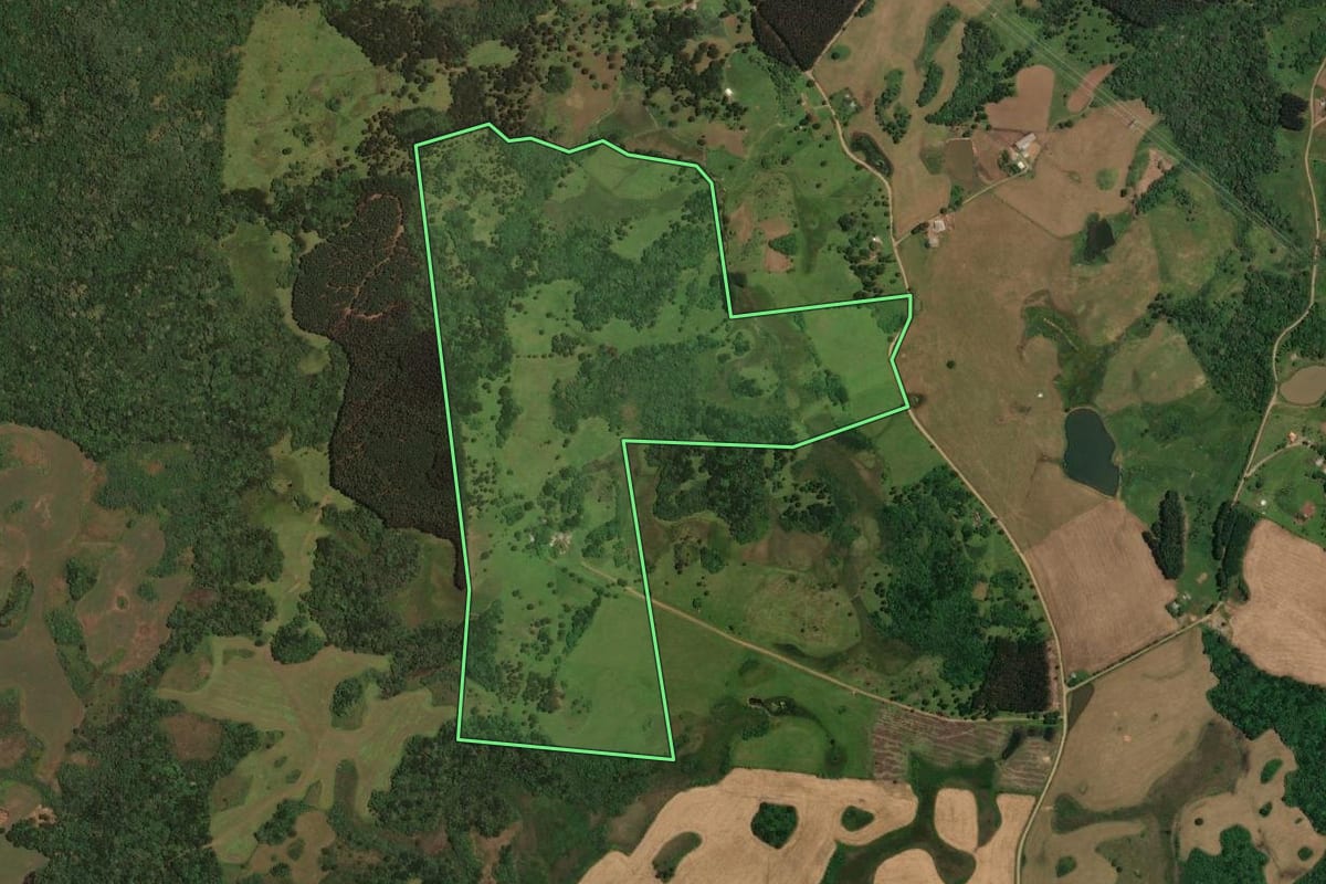 Imagem de satélite do imóvel rural em Cerro Negro (SC), com o contorno declarado no CAR desenhado por cima.