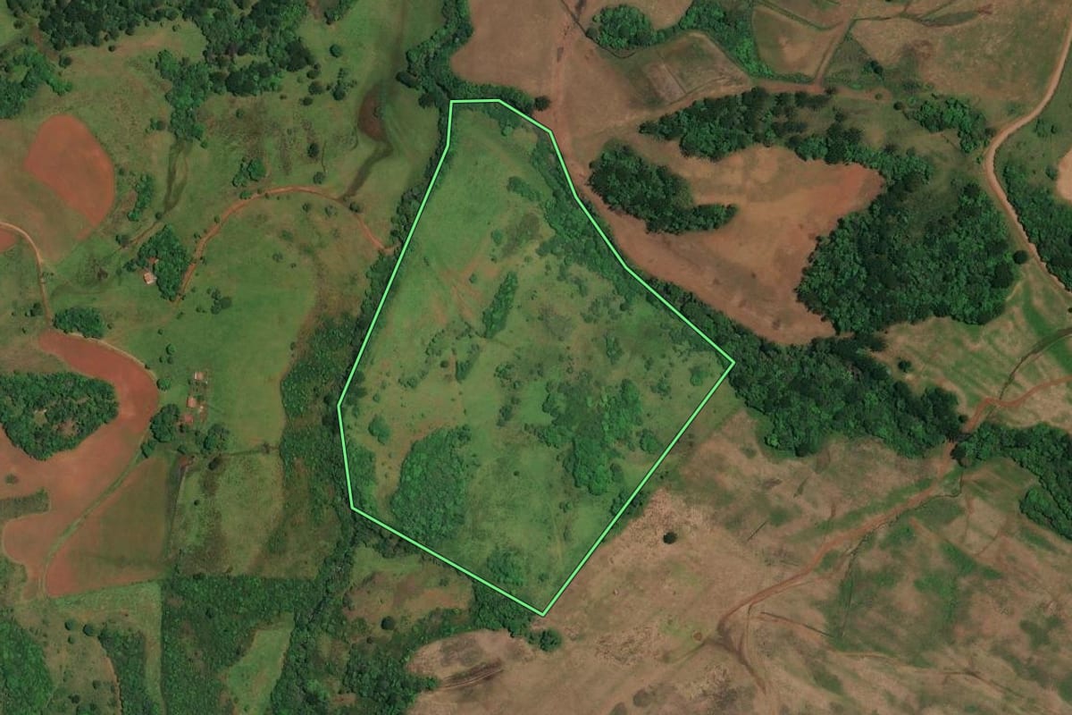 Imagem de satélite do imóvel rural em Cerro Negro (SC), com o contorno declarado no CAR desenhado por cima.