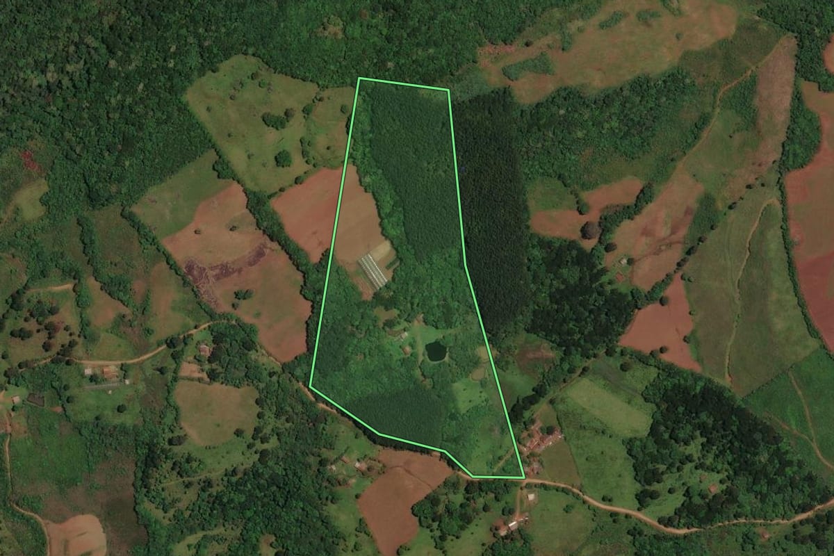 Imagem de satélite do imóvel rural em Cerro Negro (SC), com o contorno declarado no CAR desenhado por cima.