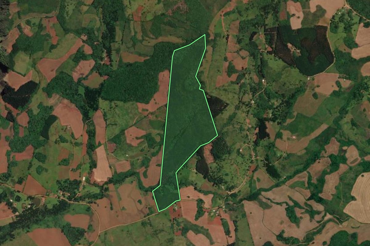 Imagem de satélite do imóvel rural em Cerro Negro (SC), com o contorno declarado no CAR desenhado por cima.