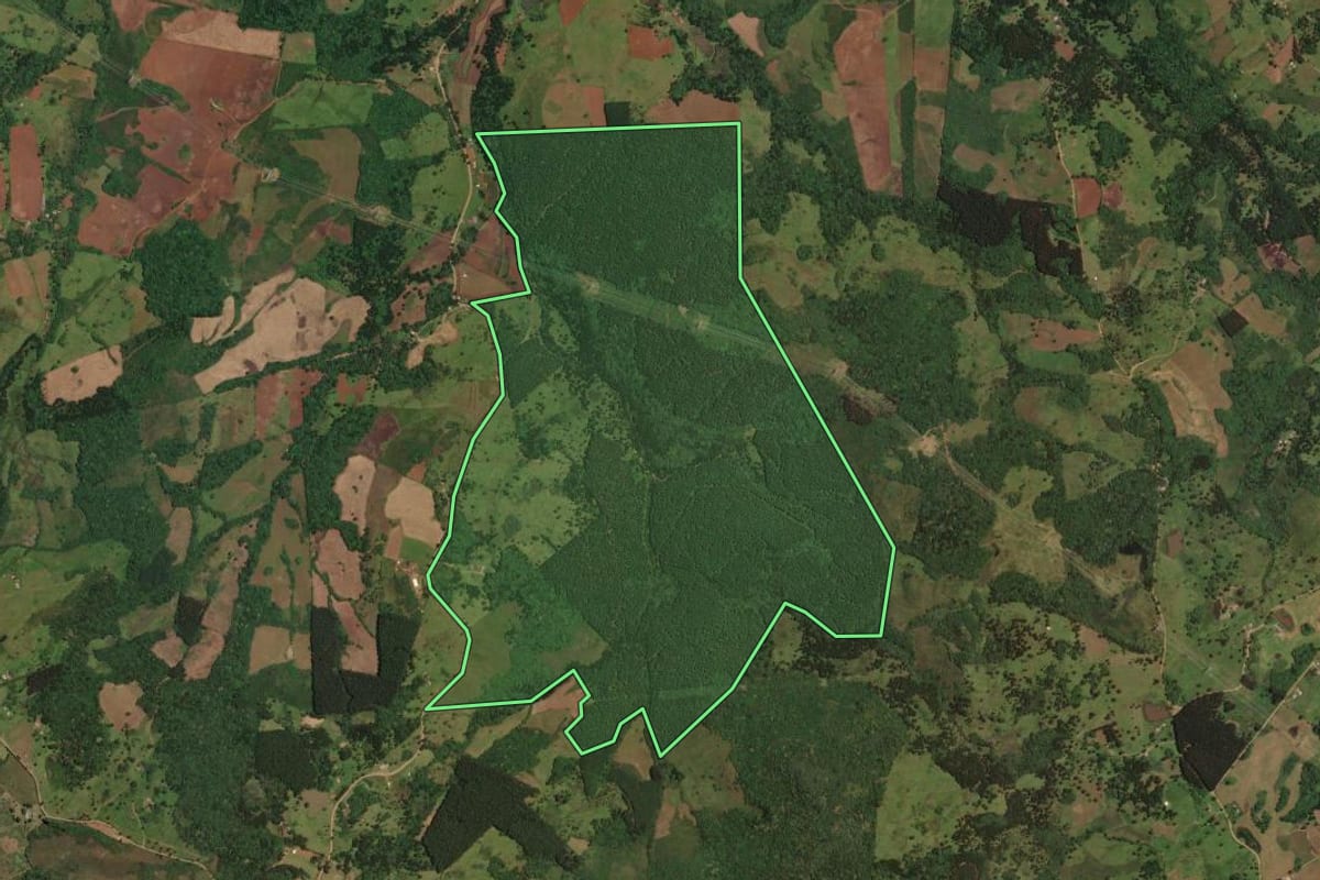 Imagem de satélite do imóvel rural em Cerro Negro (SC), com o contorno declarado no CAR desenhado por cima.