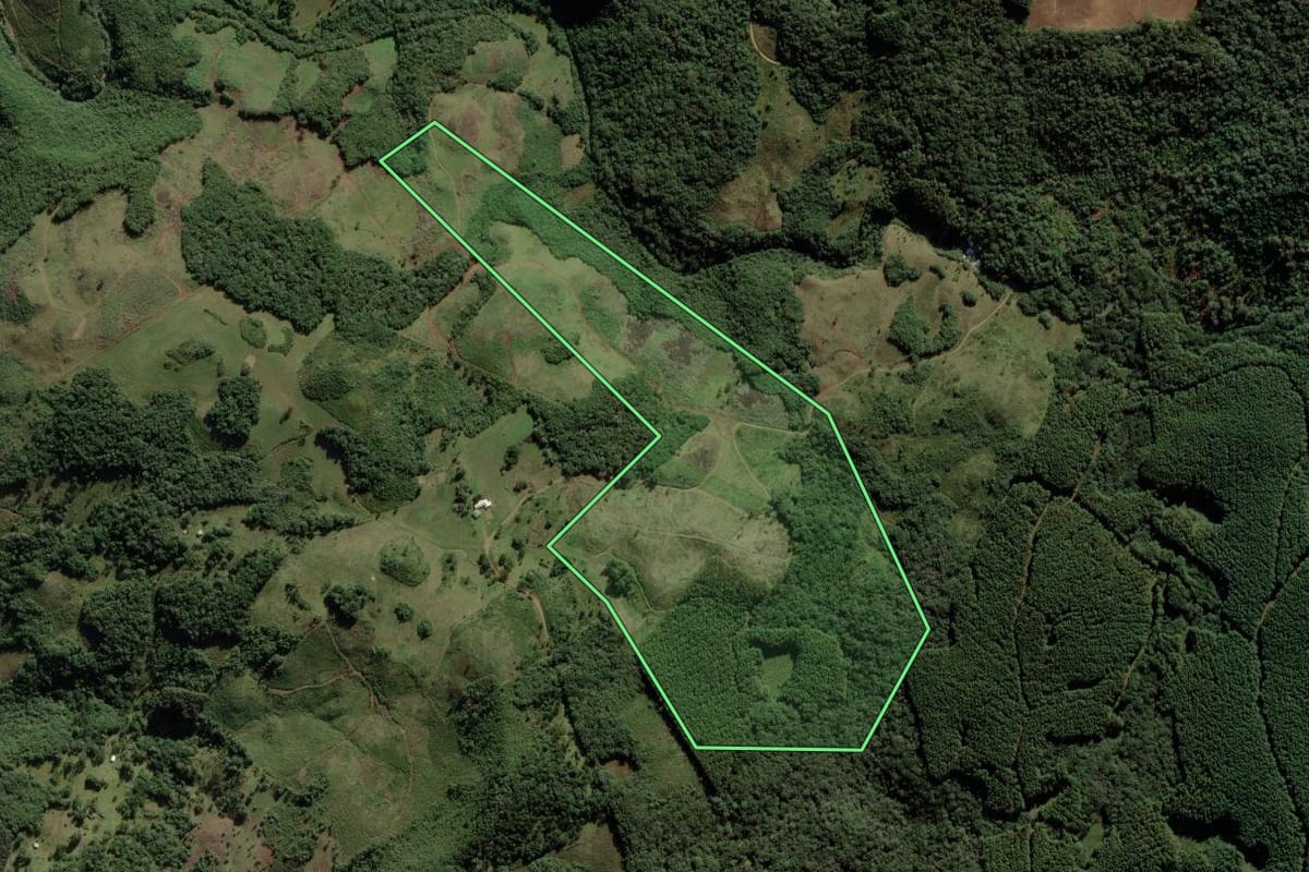 Imagem de satélite do imóvel rural em Cerro Negro (SC), com o contorno declarado no CAR desenhado por cima.