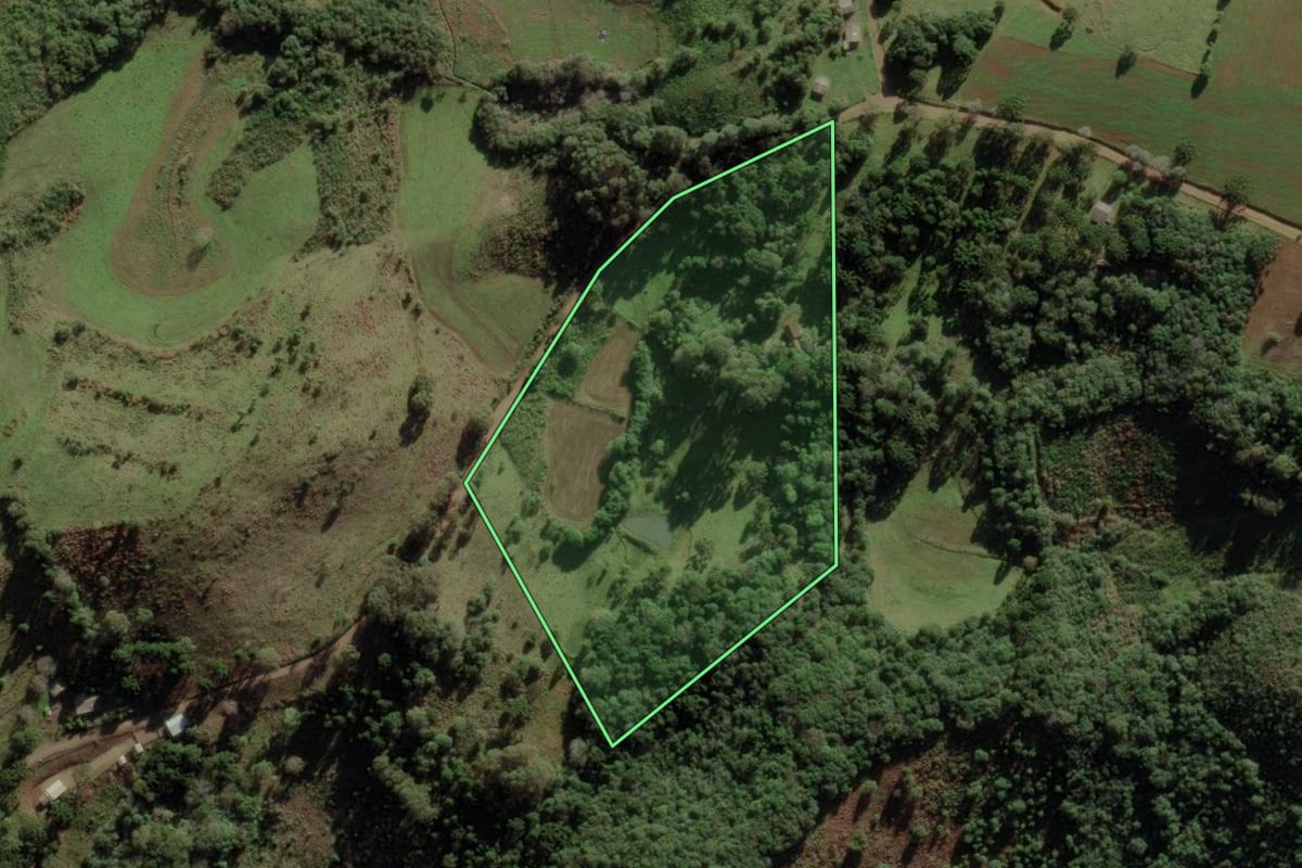Imagem de satélite do imóvel rural em Cerro Negro (SC), com o contorno declarado no CAR desenhado por cima.