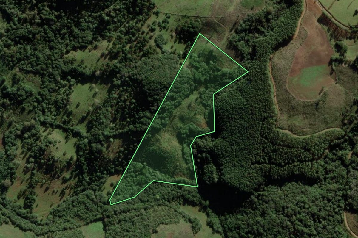 Imagem de satélite do imóvel rural em Cerro Negro (SC), com o contorno declarado no CAR desenhado por cima.