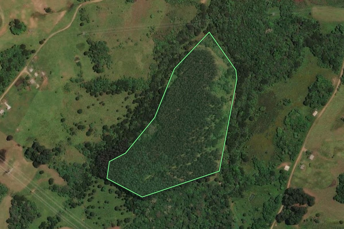 Imagem de satélite do imóvel rural em Cerro Negro (SC), com o contorno declarado no CAR desenhado por cima.