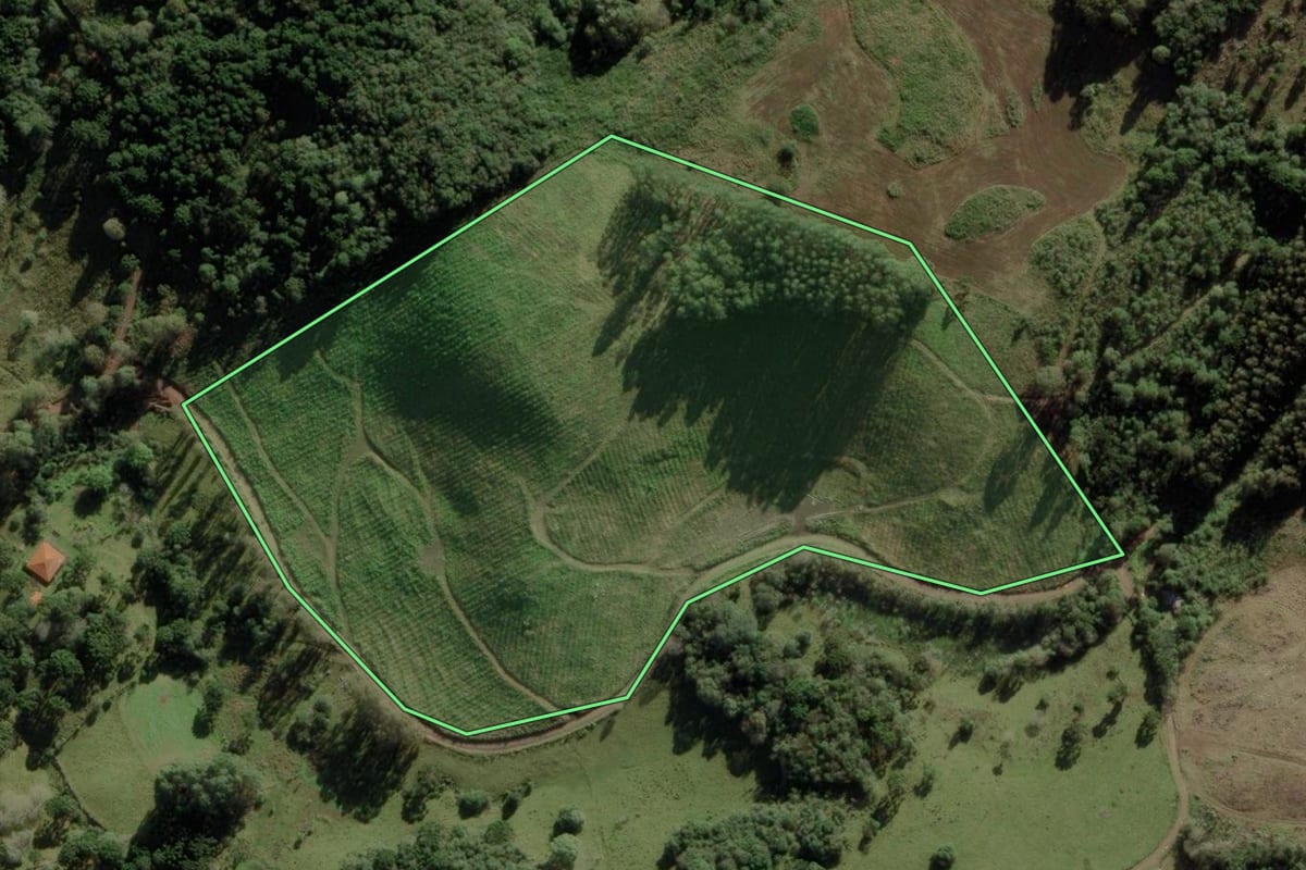 Imagem de satélite do imóvel rural em Cerro Negro (SC), com o contorno declarado no CAR desenhado por cima.
