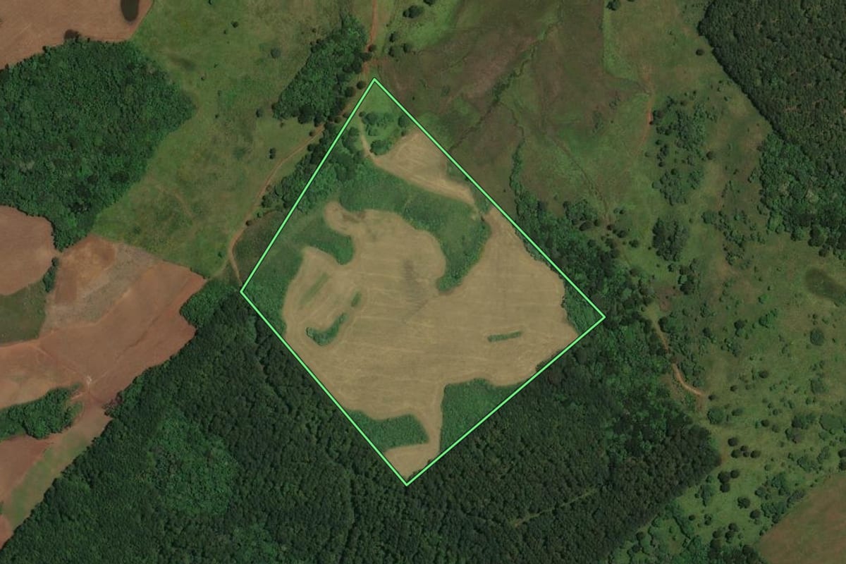 Imagem de satélite do imóvel rural em Cerro Negro (SC), com o contorno declarado no CAR desenhado por cima.
