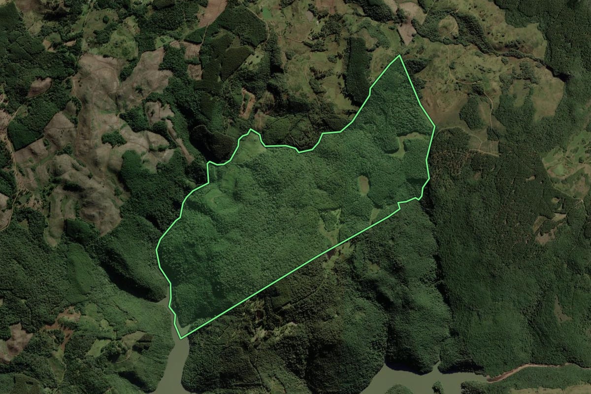 Imagem de satélite do imóvel rural em Cerro Negro (SC), com o contorno declarado no CAR desenhado por cima.