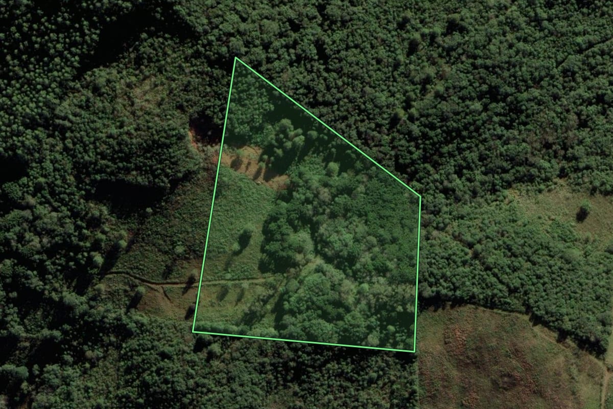 Imagem de satélite do imóvel rural em Cerro Negro (SC), com o contorno declarado no CAR desenhado por cima.