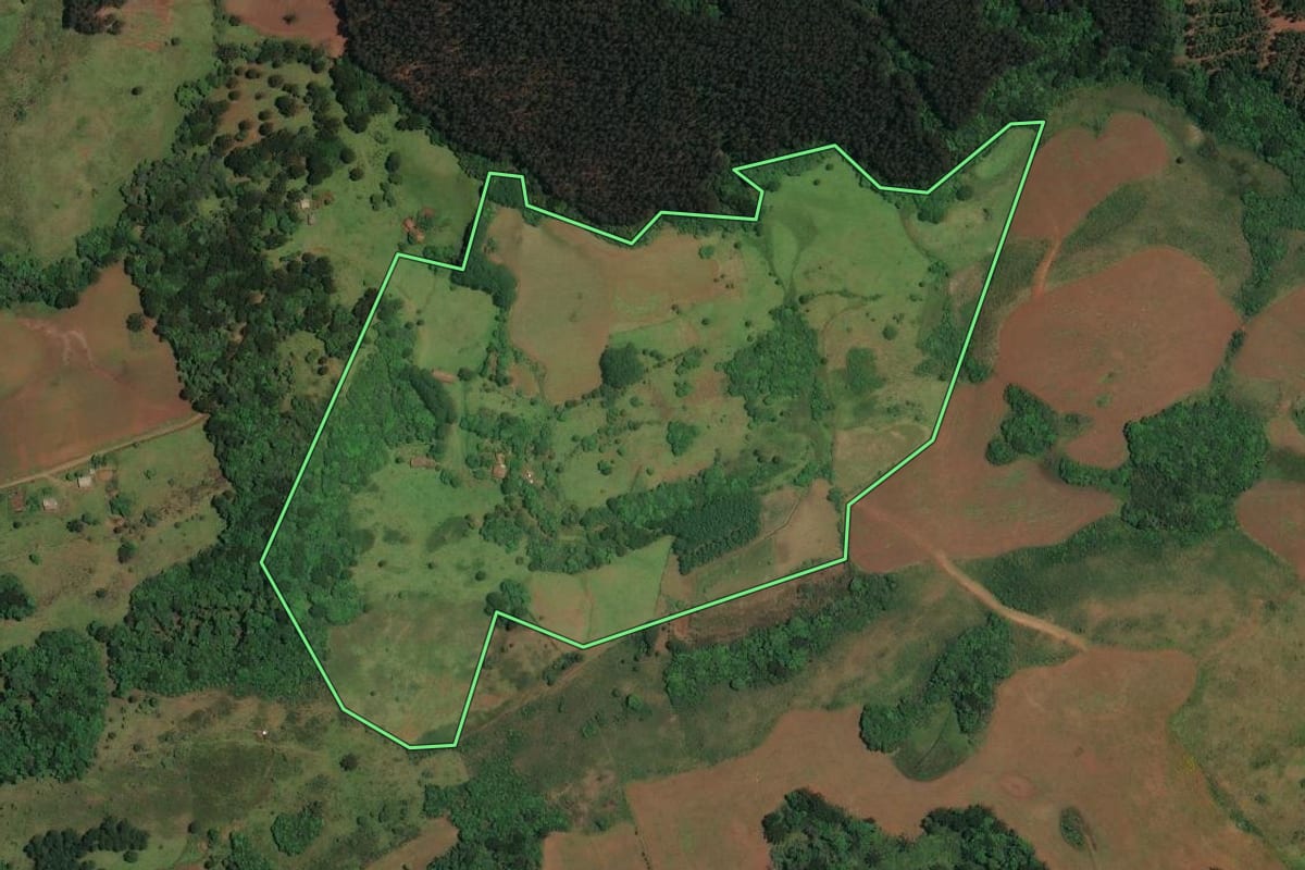 Imagem de satélite do imóvel rural em Cerro Negro (SC), com o contorno declarado no CAR desenhado por cima.