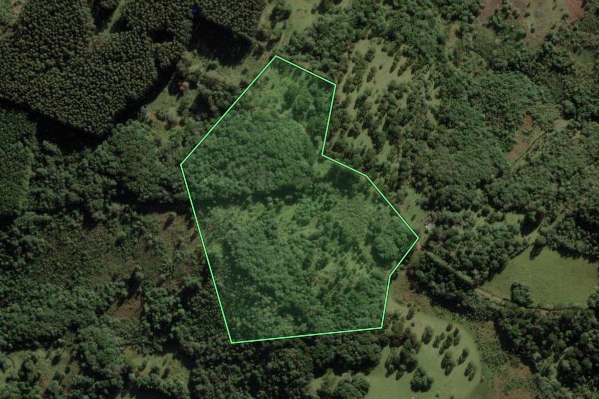 Imagem de satélite do imóvel rural em Cerro Negro (SC), com o contorno declarado no CAR desenhado por cima.