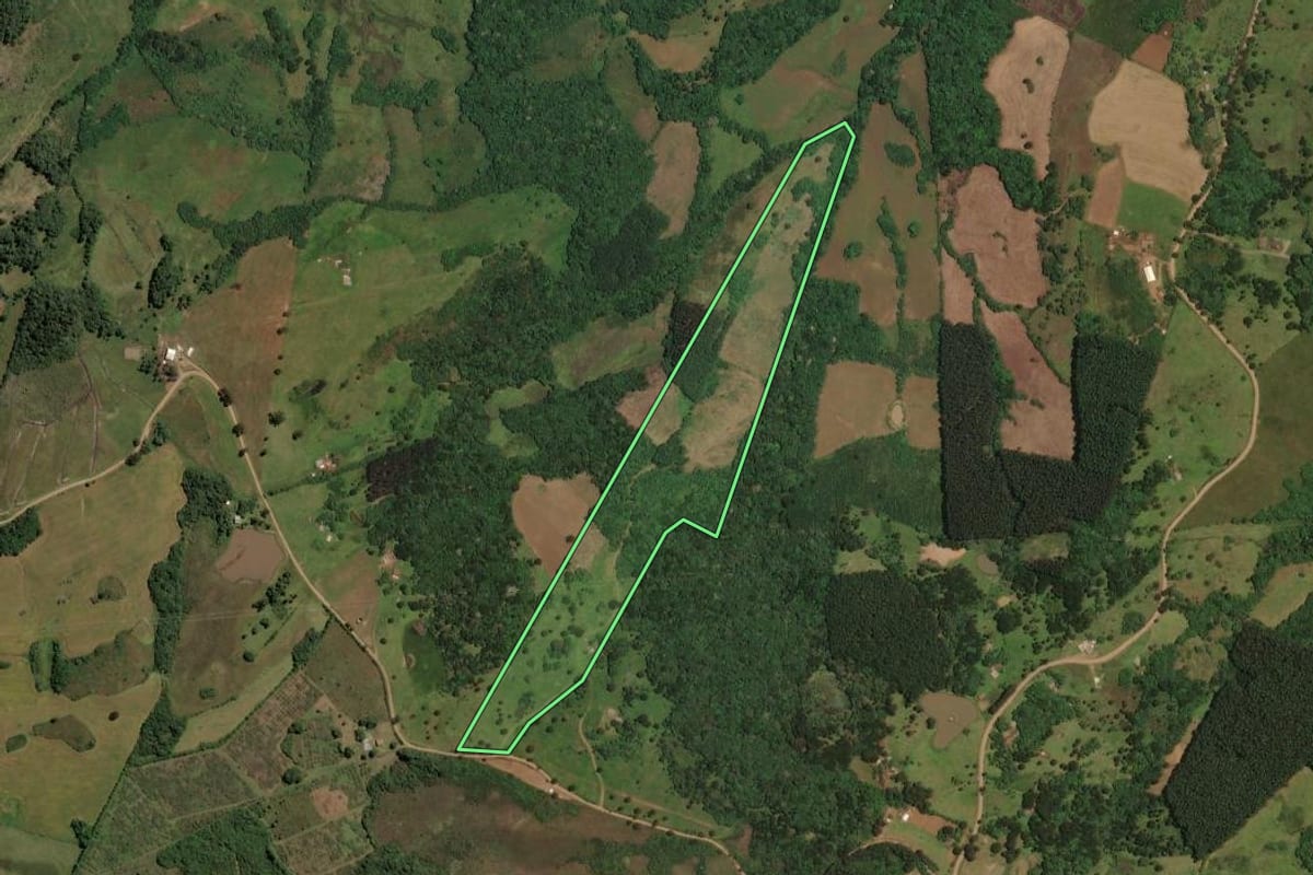 Imagem de satélite do imóvel rural em Cerro Negro (SC), com o contorno declarado no CAR desenhado por cima.