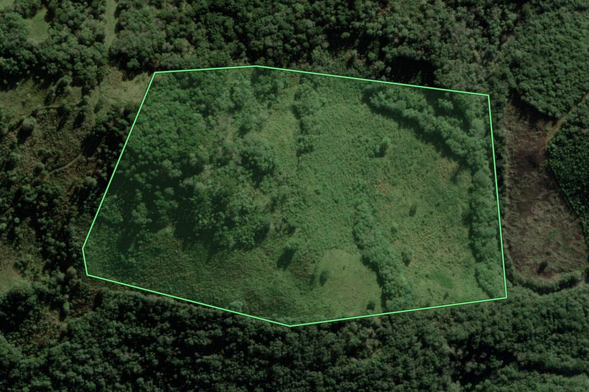 Imagem de satélite do imóvel rural em Cerro Negro (SC), com o contorno declarado no CAR desenhado por cima.