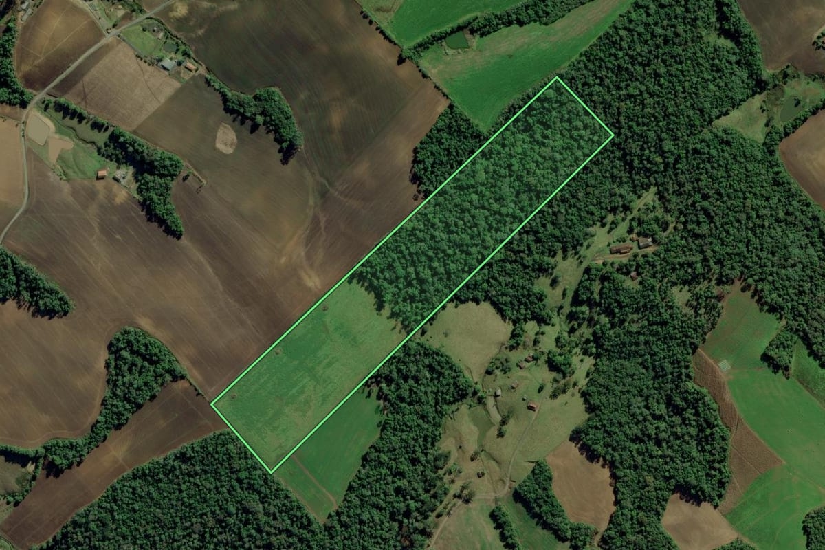 Imagem de satélite do imóvel rural em Chapadão do Lageado (SC), com o contorno declarado no CAR desenhado por cima.