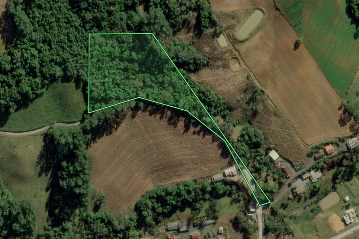 Imagem de satélite do imóvel rural em Chapadão do Lageado (SC), com o contorno declarado no CAR desenhado por cima.