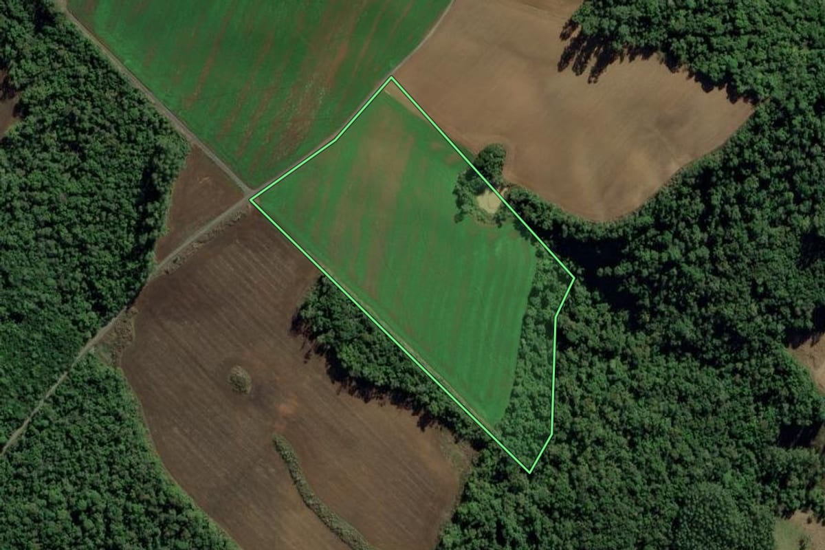 Imagem de satélite do imóvel rural em Chapadão do Lageado (SC), com o contorno declarado no CAR desenhado por cima.