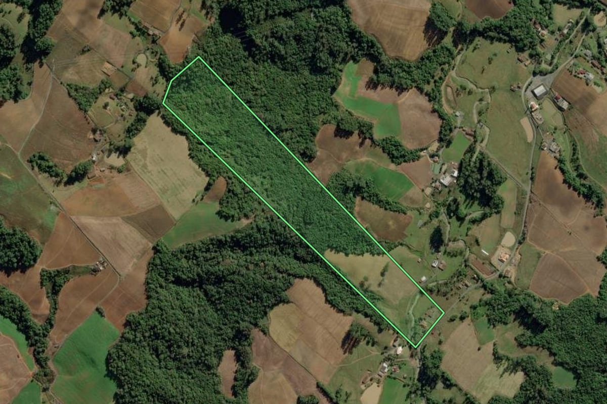 Imagem de satélite do imóvel rural em Chapadão do Lageado (SC), com o contorno declarado no CAR desenhado por cima.