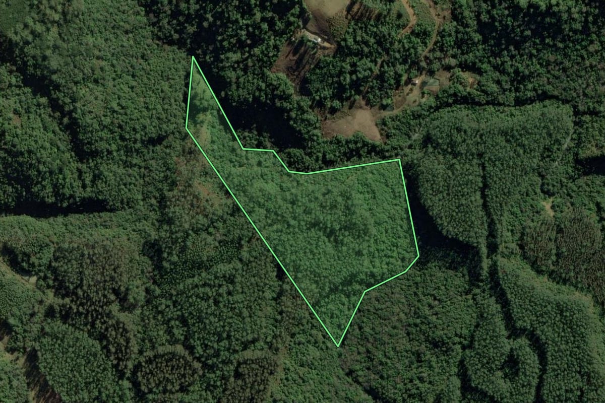 Imagem de satélite do imóvel rural em Chapadão do Lageado (SC), com o contorno declarado no CAR desenhado por cima.