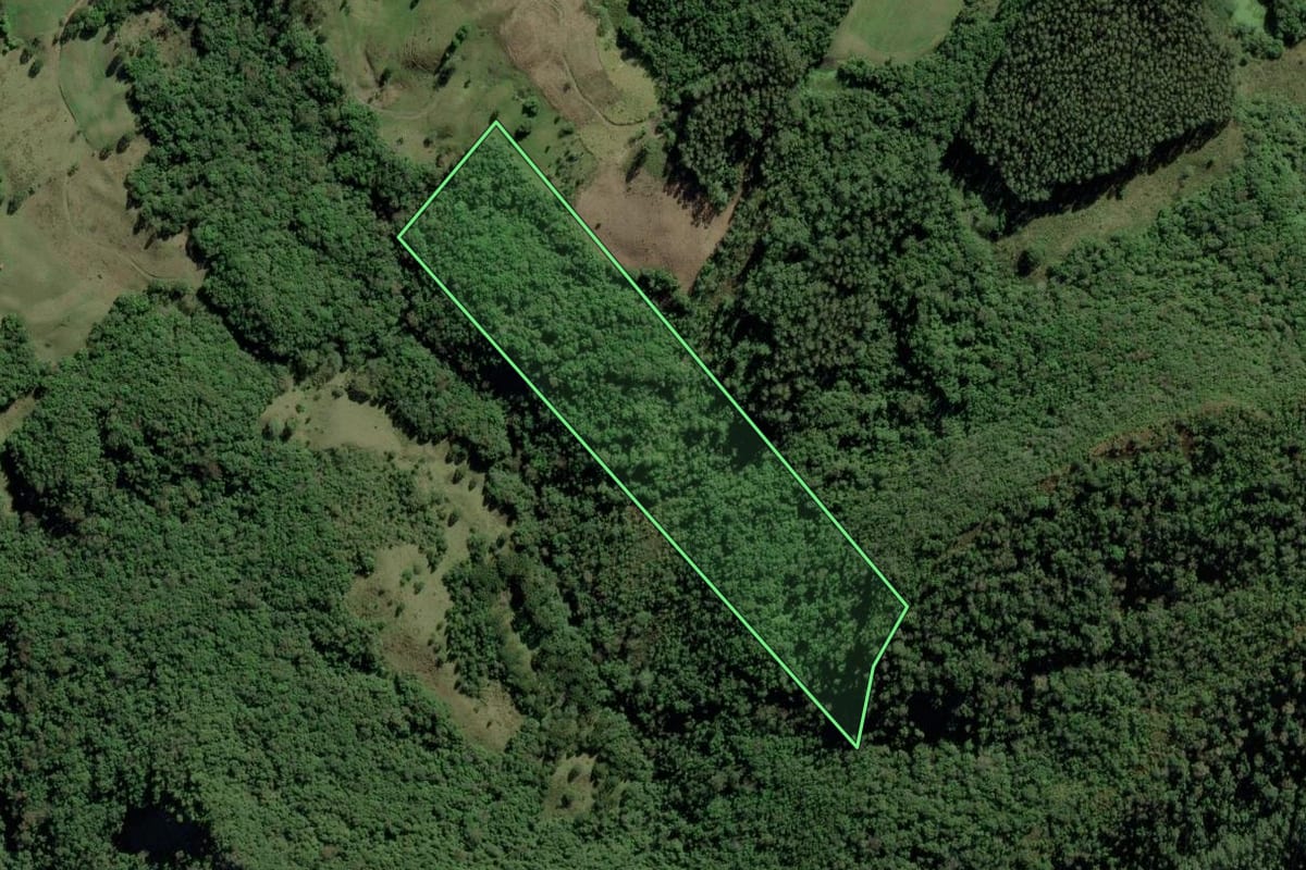 Imagem de satélite do imóvel rural em Chapadão do Lageado (SC), com o contorno declarado no CAR desenhado por cima.