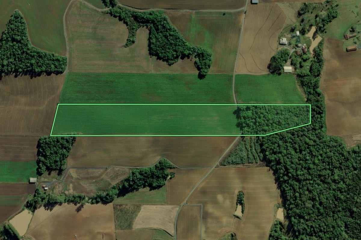 Imagem de satélite do imóvel rural em Chapadão do Lageado (SC), com o contorno declarado no CAR desenhado por cima.