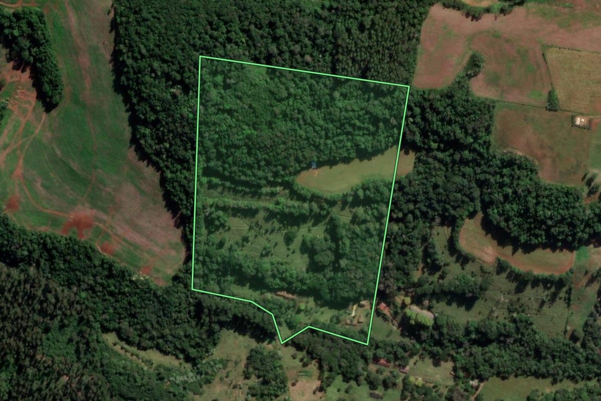 Imagem de satélite do imóvel rural em Chapecó (SC), com o contorno declarado no CAR desenhado por cima.