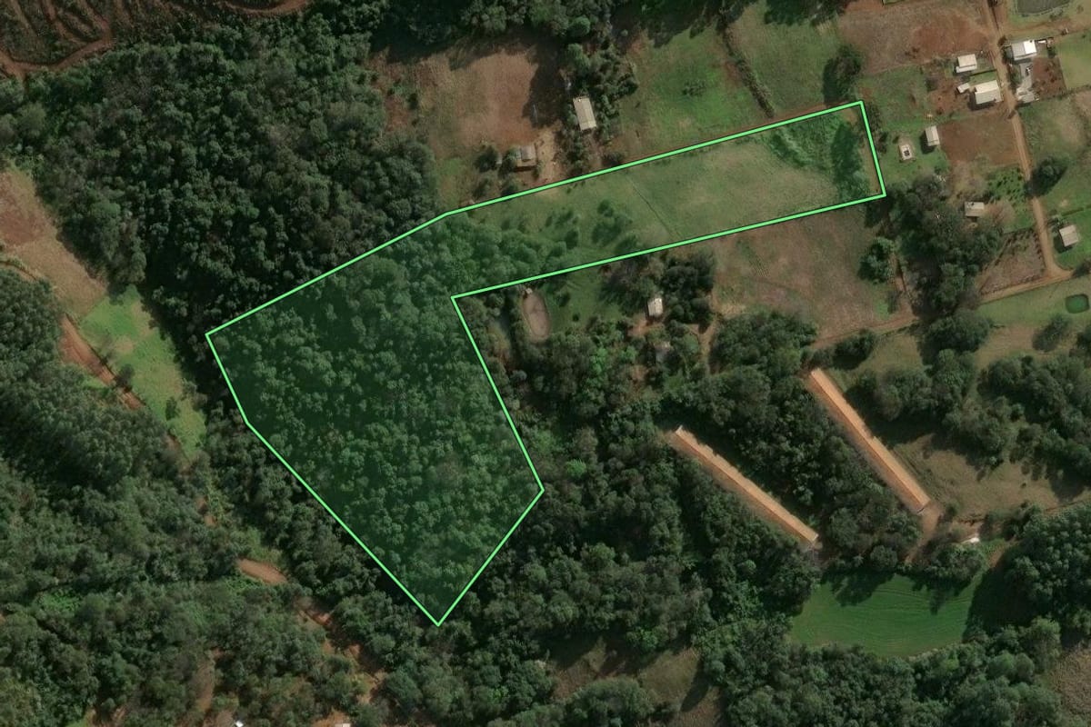 Imagem de satélite do imóvel rural em Chapecó (SC), com o contorno declarado no CAR desenhado por cima.