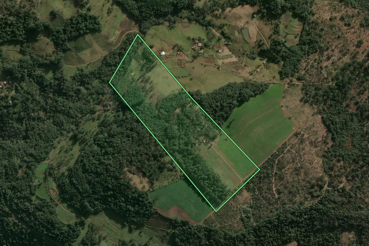 Imagem de satélite do imóvel rural em Chapecó (SC), com o contorno declarado no CAR desenhado por cima.