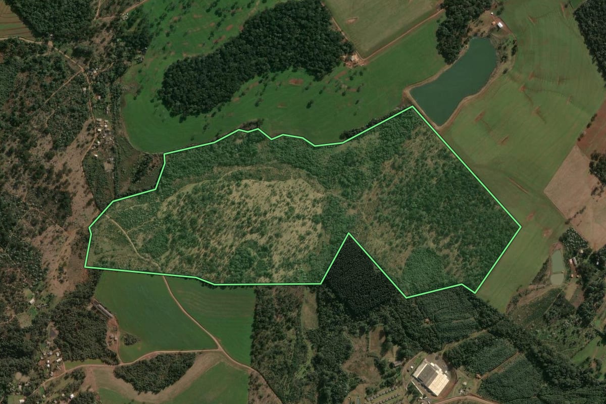 Imagem de satélite do imóvel rural em Chapecó (SC), com o contorno declarado no CAR desenhado por cima.