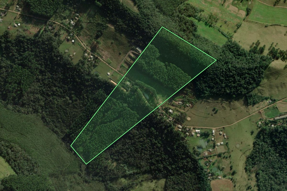 Imagem de satélite do imóvel rural em Chapecó (SC), com o contorno declarado no CAR desenhado por cima.