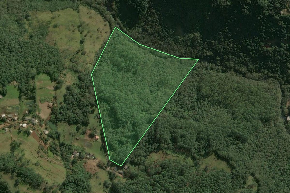 Imagem de satélite do imóvel rural em Chapecó (SC), com o contorno declarado no CAR desenhado por cima.