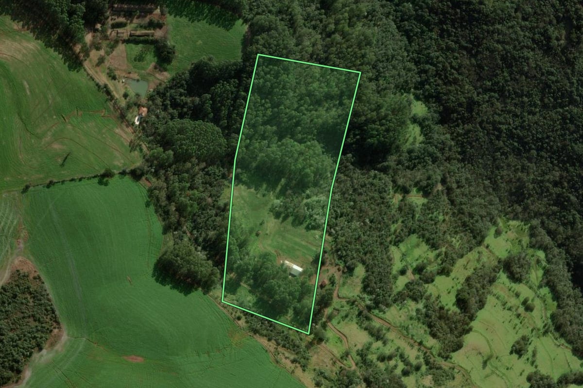 Imagem de satélite do imóvel rural em Chapecó (SC), com o contorno declarado no CAR desenhado por cima.