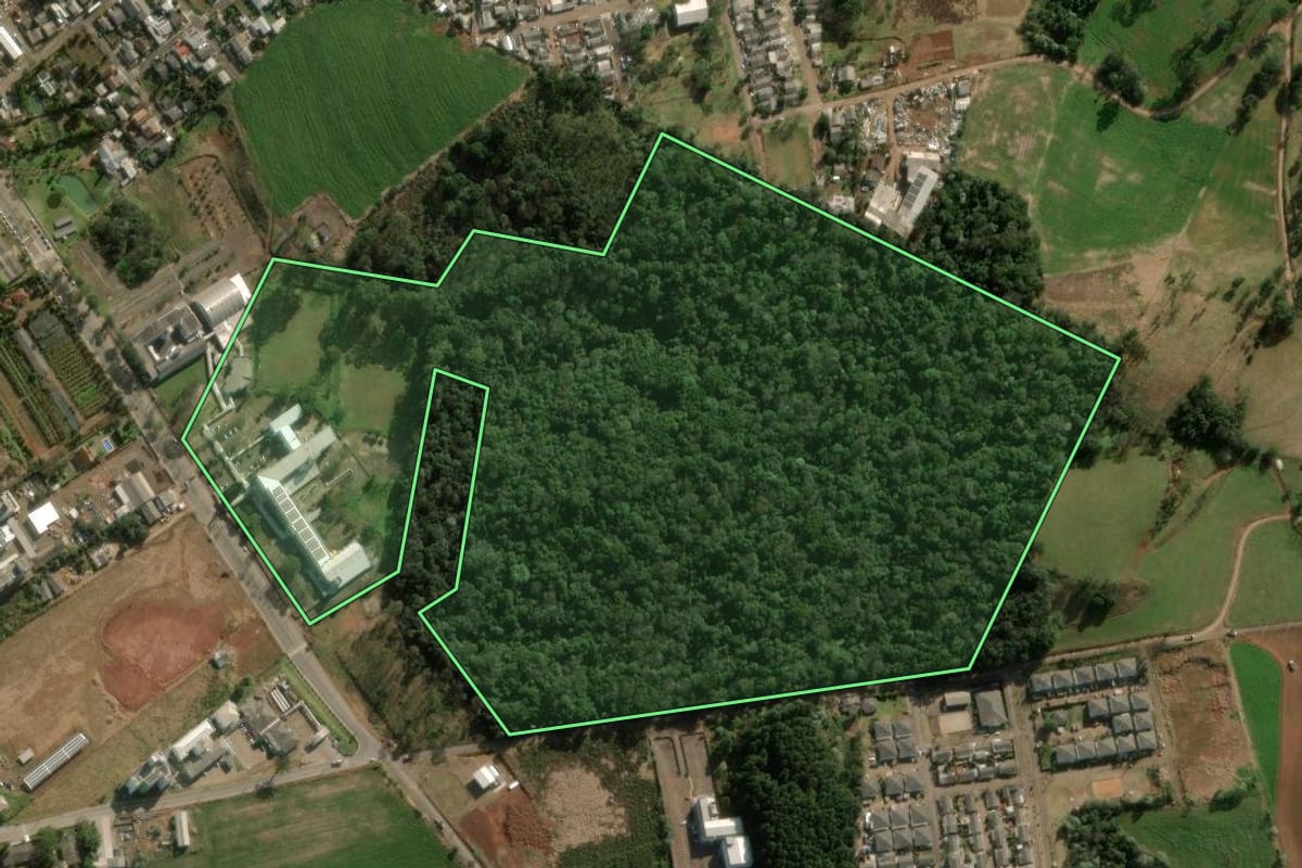 Imagem de satélite do imóvel rural em Chapecó (SC), com o contorno declarado no CAR desenhado por cima.
