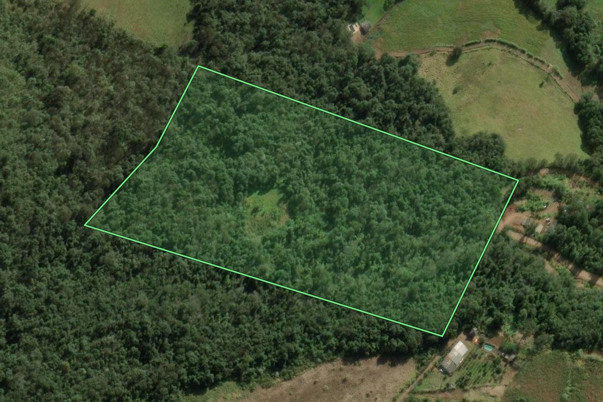 Imagem de satélite do imóvel rural em Chapecó (SC), com o contorno declarado no CAR desenhado por cima.