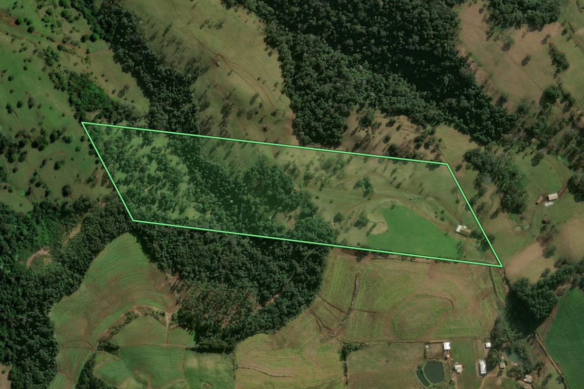Imagem de satélite do imóvel rural em Chapecó (SC), com o contorno declarado no CAR desenhado por cima.
