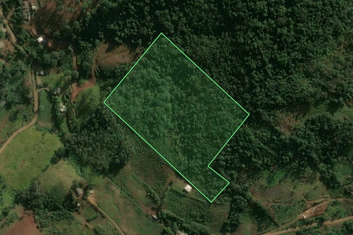 Imagem de satélite do imóvel rural em Chapecó (SC), com o contorno declarado no CAR desenhado por cima.