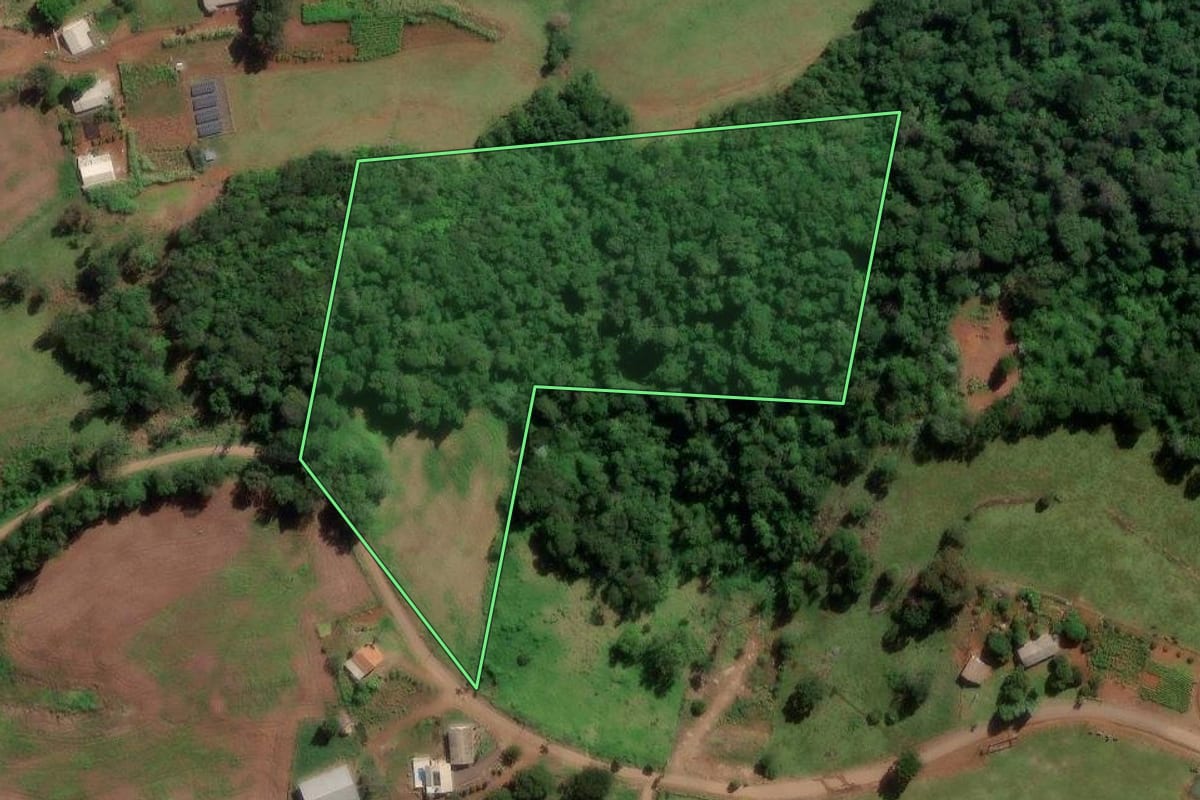 Imagem de satélite do imóvel rural em Chapecó (SC), com o contorno declarado no CAR desenhado por cima.