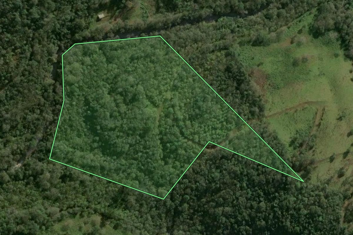Imagem de satélite do imóvel rural em Chapecó (SC), com o contorno declarado no CAR desenhado por cima.