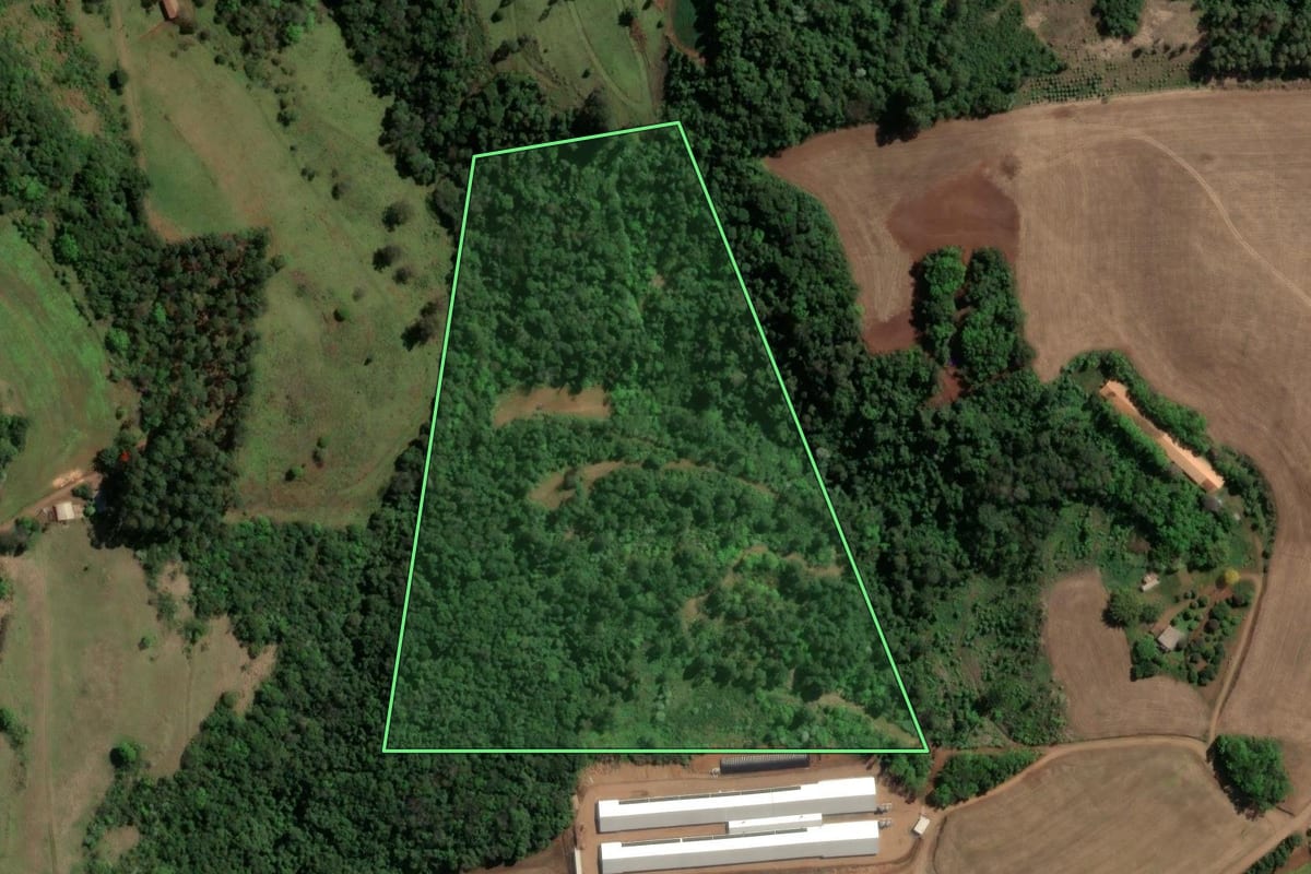 Imagem de satélite do imóvel rural em Chapecó (SC), com o contorno declarado no CAR desenhado por cima.