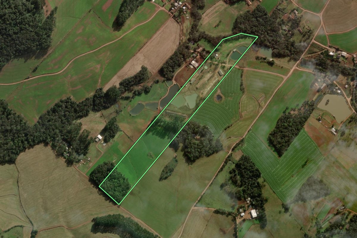 Imagem de satélite do imóvel rural em Chapecó (SC), com o contorno declarado no CAR desenhado por cima.